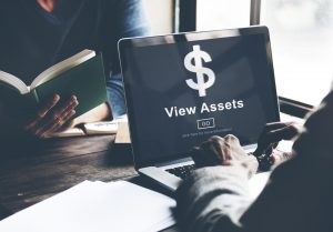 asset protection view