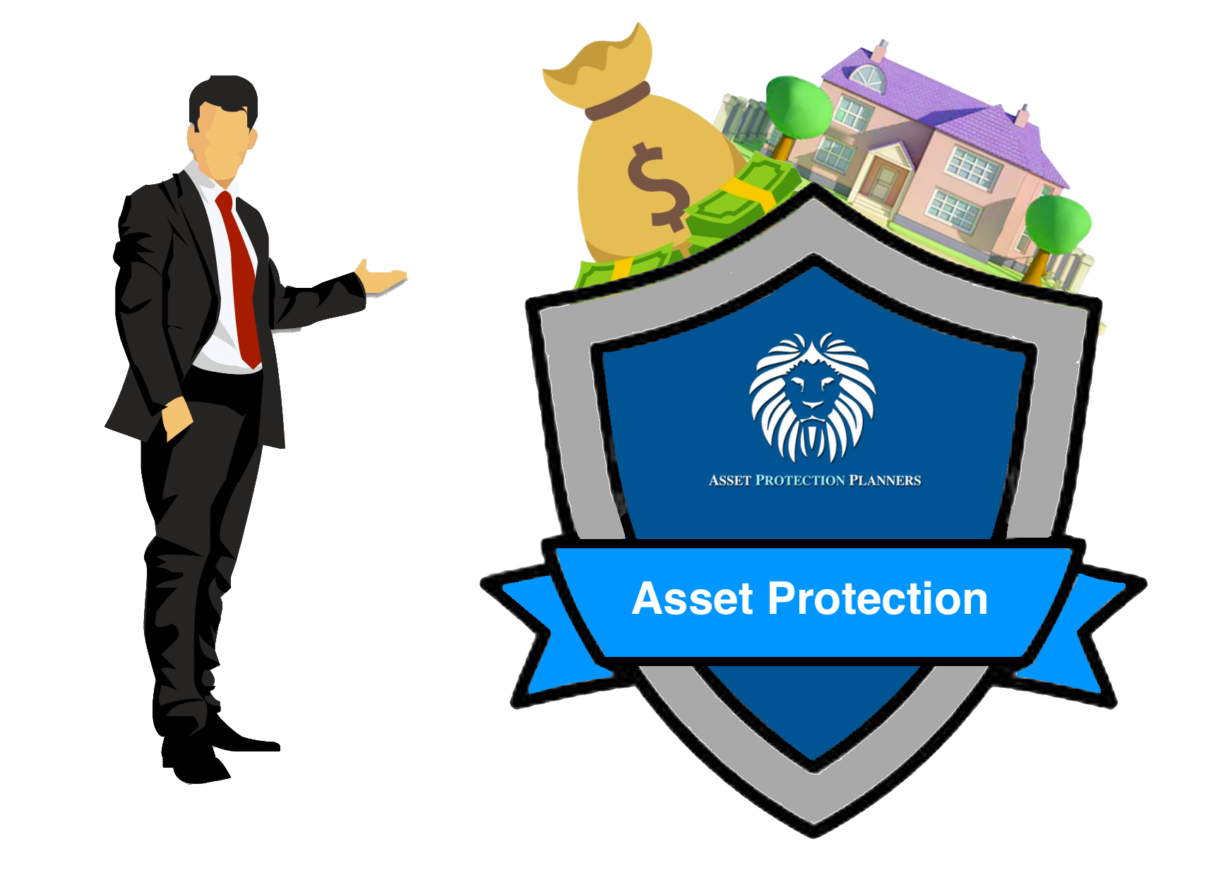 Asset Protection Definition